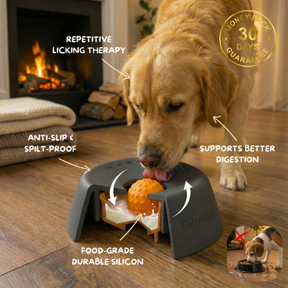 CalmLick™ - Liquid Treat Bowl